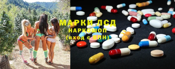ГАЛЛЮЦИНОГЕННЫЕ ГРИБЫ Баксан