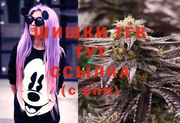 ГАЛЛЮЦИНОГЕННЫЕ ГРИБЫ Баксан