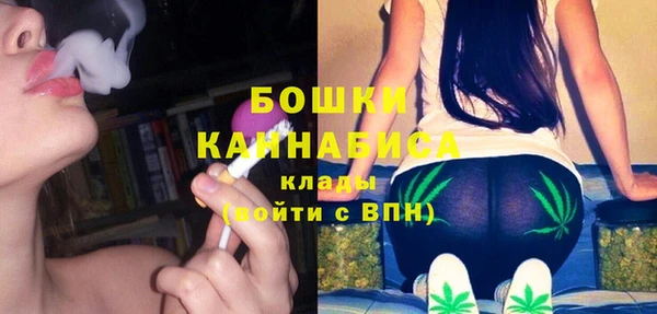 ГАЛЛЮЦИНОГЕННЫЕ ГРИБЫ Баксан