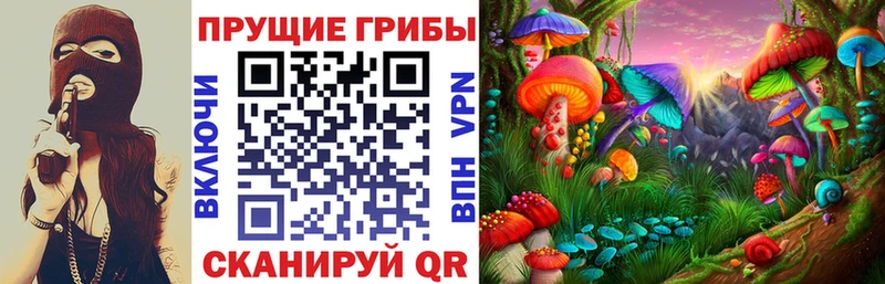 Псилоцибиновые грибы Cubensis  Шагонар 